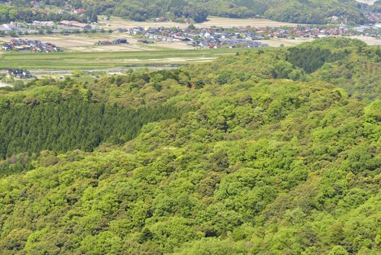 Gassantoda Castle A Study of Japanese Bibliography JapaneseCastle.JP
